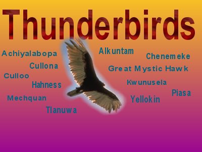 thunderbirds.jpg